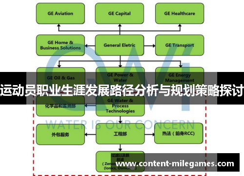 运动员职业生涯发展路径分析与规划策略探讨 运动员职业生涯发展路径分析与规划策略探讨